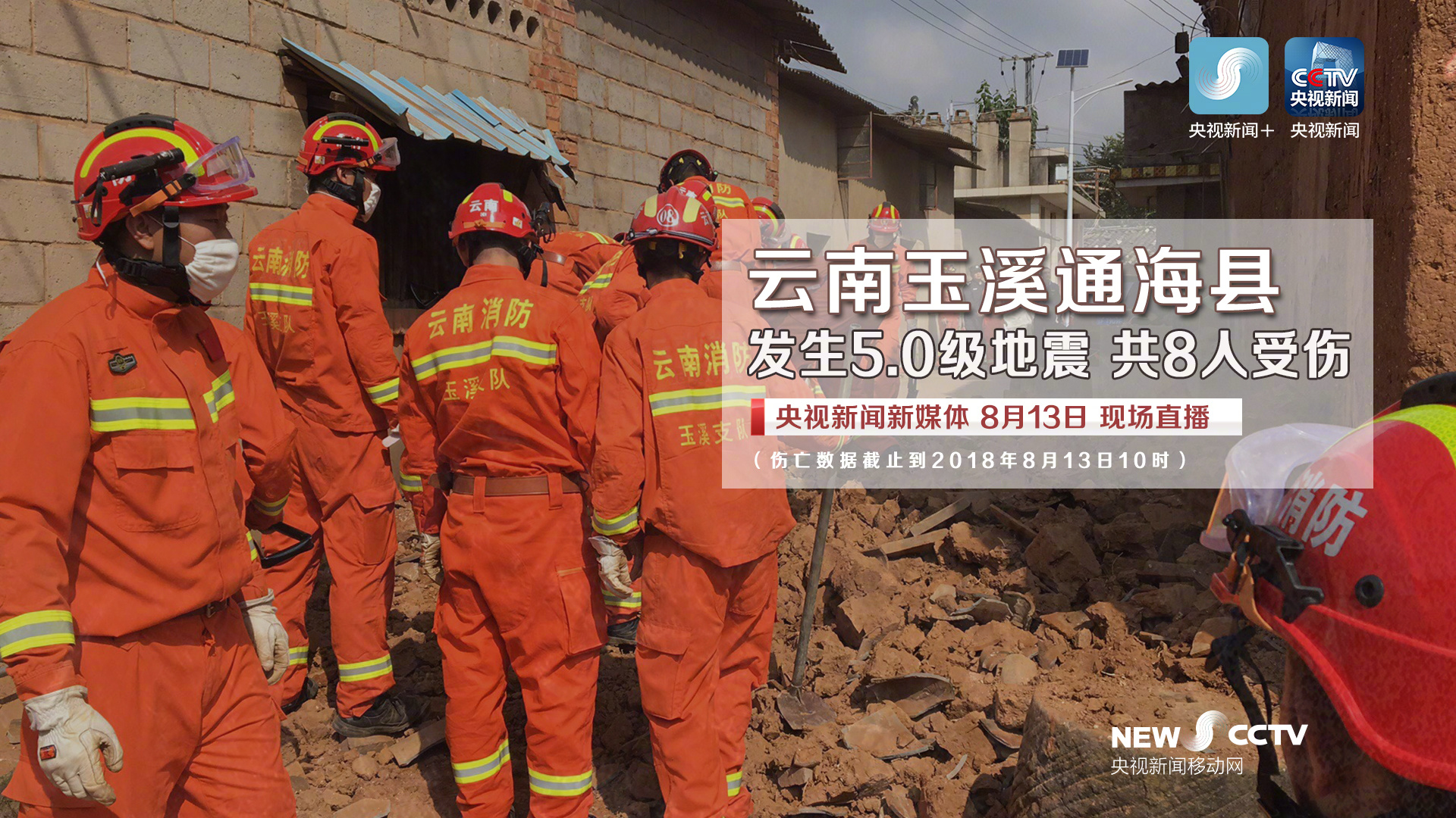 通海地震最新动态，小城震动中的温馨日常故事