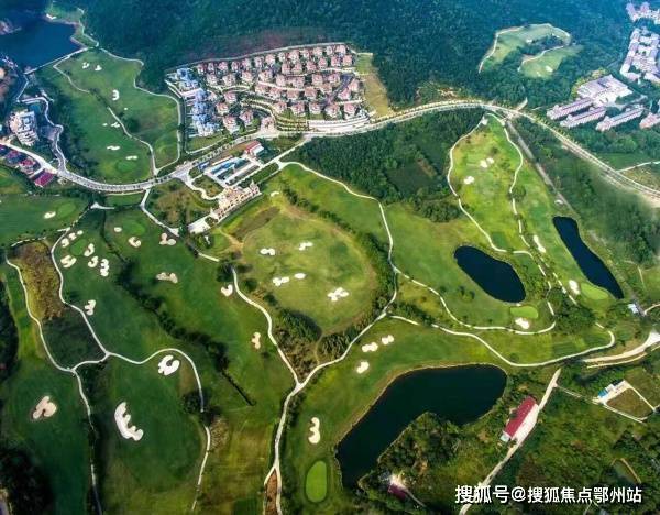 2024今晚香港开特马,权威解析方法_增强版20.982