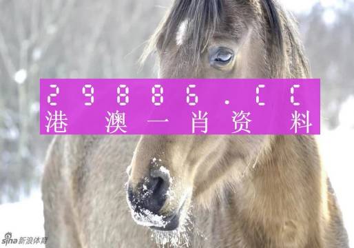 澳门一肖一码100%精准,权威解析方法_复古版20.912