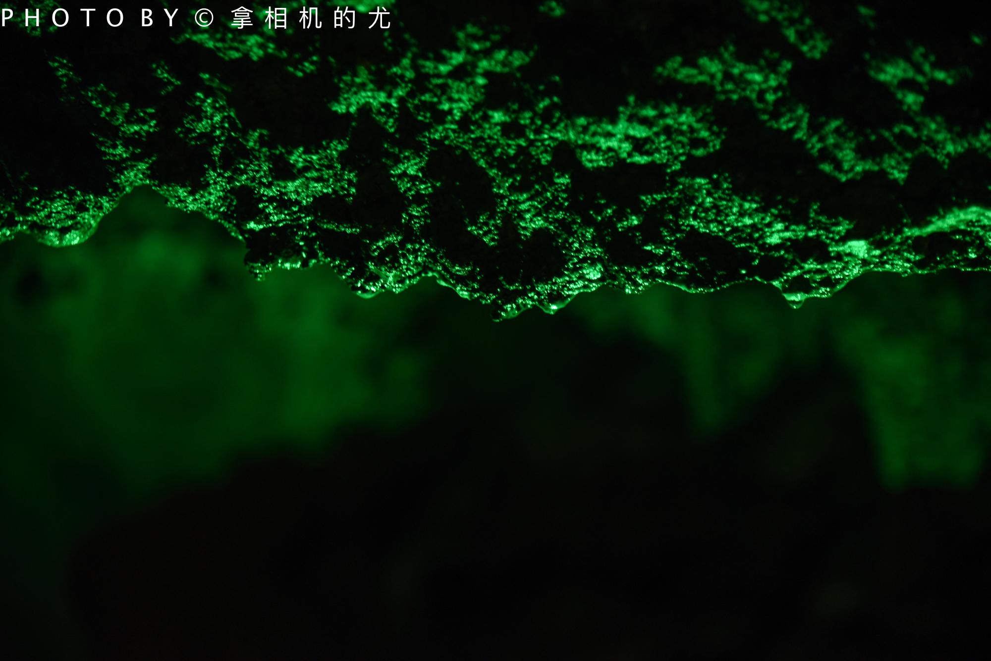巴南双河口最新动态更新，最新消息汇总