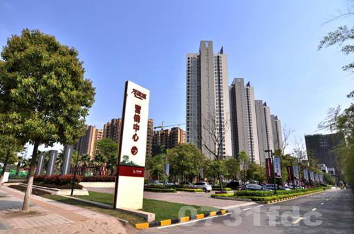 大港福居园最新动态，自然美景探索之旅启程