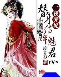 一夜弃妃最新章节,一夜弃妃最新章节，纷争中的观点探析