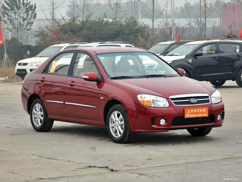 赛拉图最新报价及市场趋势深度解析