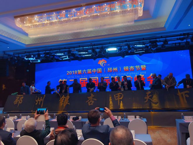 时代浪潮下的邳州论坛最新动态与声音