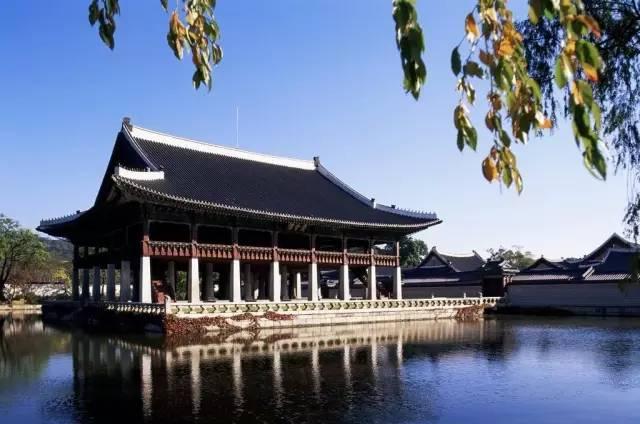 河北完美事件最新动态,河北完美事件的最新动态——一场温馨有趣的夏日记忆
