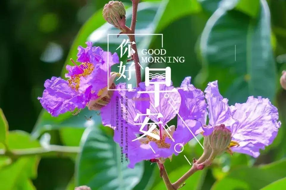 2016最新说说，陪伴的独特风味在小巷中绽放