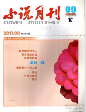 歌月最新小说流年幻境，文学世界的深度探索与影响揭秘