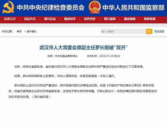 武汉罗长刚最新判决，法律公正与社会舆论的交织点