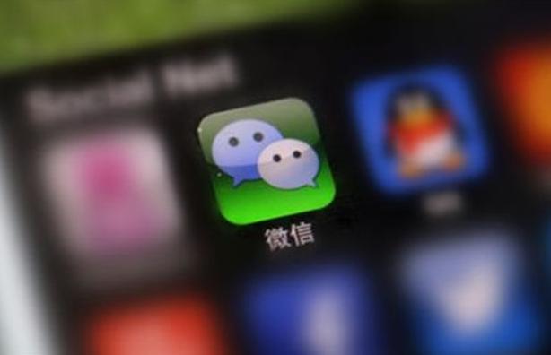 免费X站最新域名获取指南，适用于初学者及进阶用户的步骤教程
