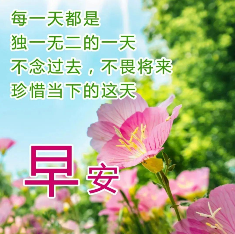招聘信息 第9页