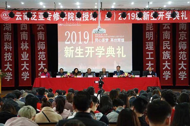 云南泛亚事件最新动态与观点论述摘要