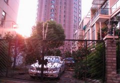 上海新梅最新进展更新，最新动态与进展报告