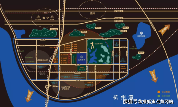 荷兰最新型单边游泳裤，革新设计，畅享畅游新体验